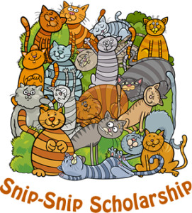 snipsnip scholarship