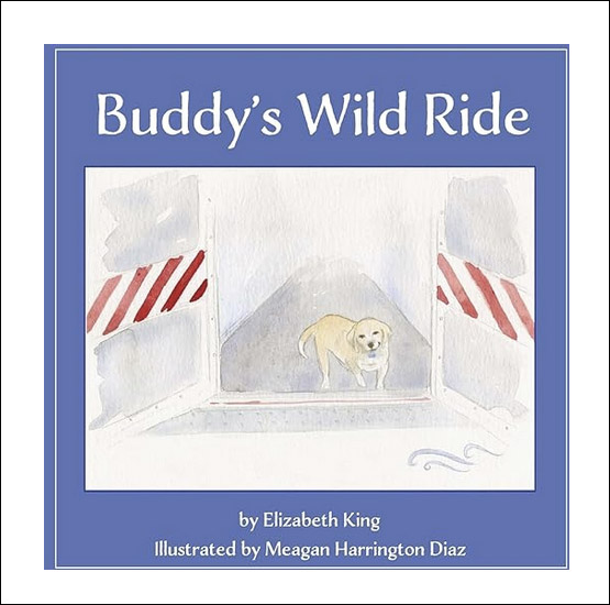 Buddy's Wild Ride book cover